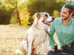 Dịch vụ đặt vé máy bay thú cưng chó mèo đi Boise Mỹ EVA Air